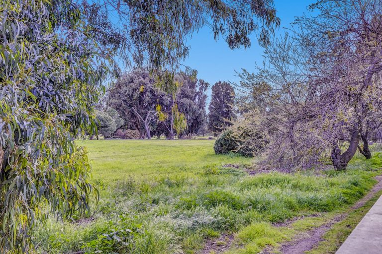 970 Castlewood Way 100 1536x1024