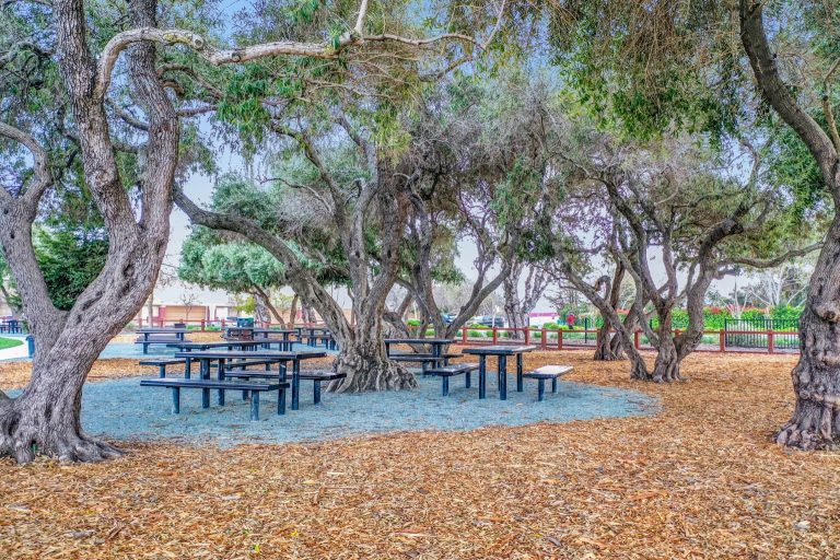 970 Castlewood Way 112 1536x1023