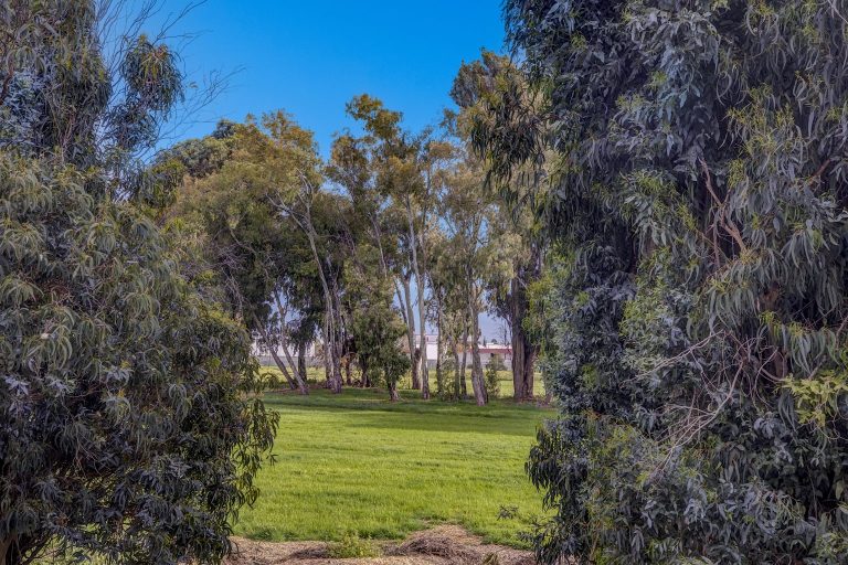 970 Castlewood Way 92 1536x1024